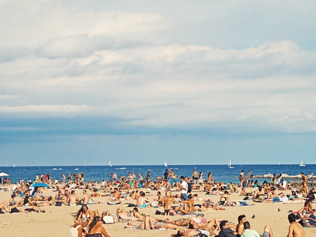 rayon uva sur le sable et dans l'eau